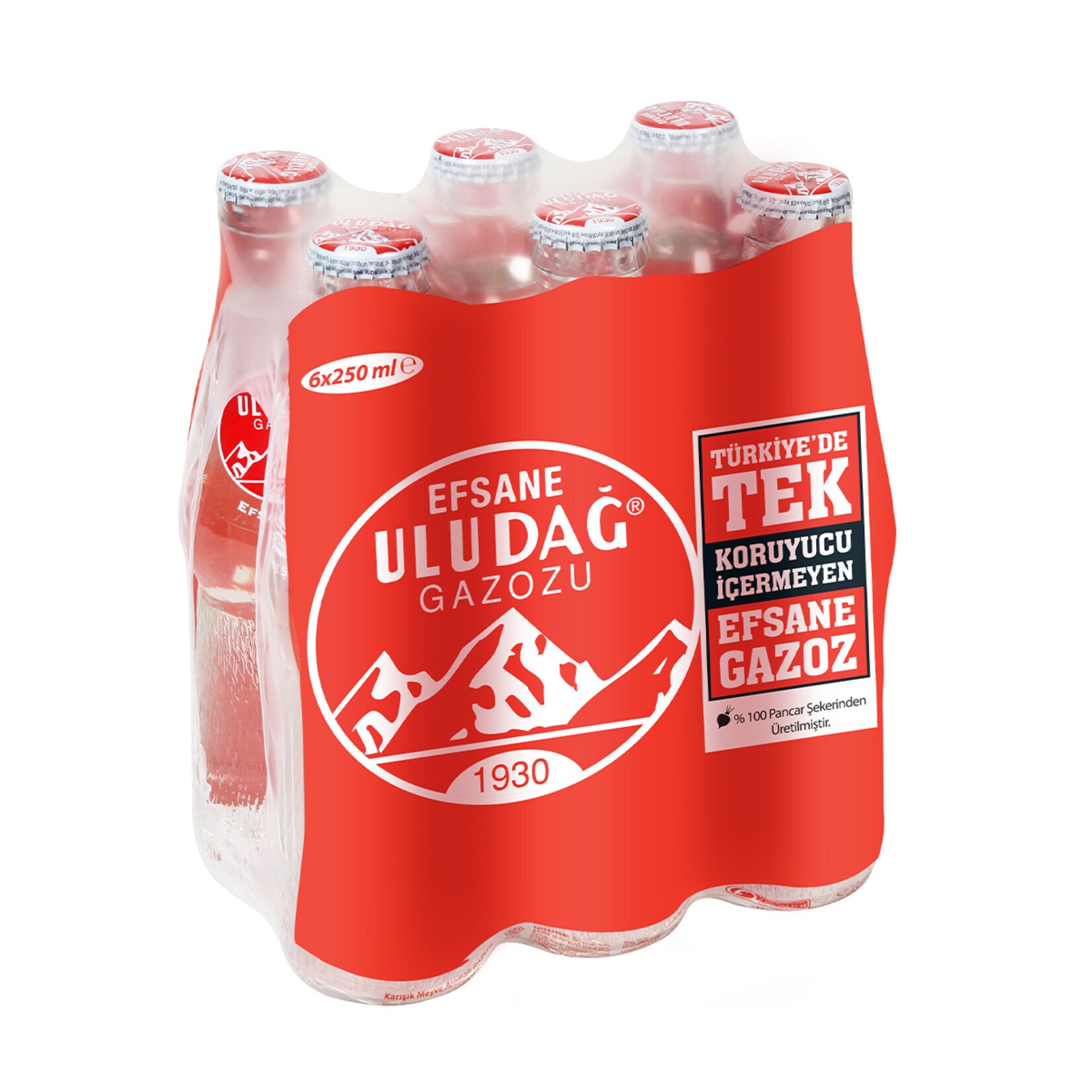 Uludağ Gazozu 6x250ml