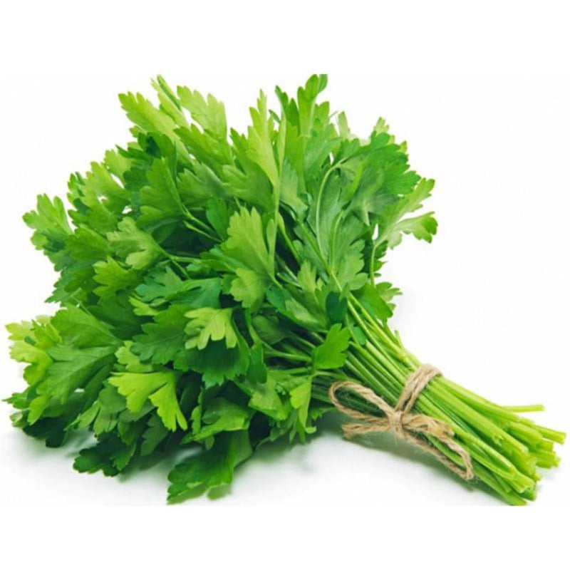 Leaf Parsley (ES)