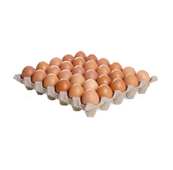 Egg Tray x 30