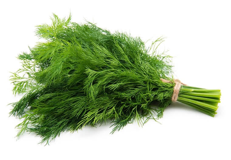 Dill (ES)